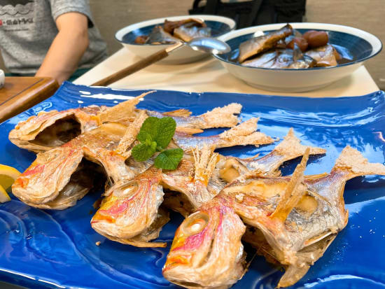 南紀白浜 遊漁船 代々丸で船釣り 温泉民宿 1泊2日プラン 釣った魚はその日の夕食に 朝夕食付 白浜町 和歌山の観光 遊び 体験 レジャー専門予約サイト Veltra ベルトラ