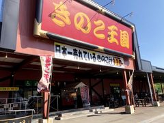 J0S098_仁木きのこ王国6176-1024x768