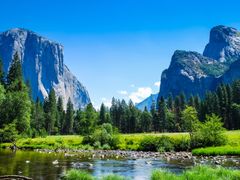 USA_Yosemite_Yosemite National Park_El Capitan_shutterstock_142024447
