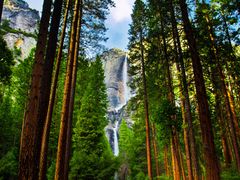 Yosemite falls