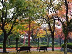 Japan_Yamaguchi_Parkroad_pixta_12678880_M