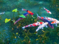 pixta_80745849_M