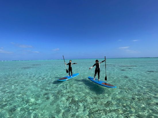 百合ヶ浜 上陸＆ウミガメシュノーケリング半日ツアー 3歳～参加可能　オプションでSUP体験あり ＜約2.5時間／大金久海岸発＞ by タンディーマリン