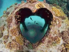 VID_20210802_122601_00_012_2021-08-02_19-16-19_スクリ_ーンショット(1)