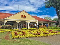 Dole Entrance