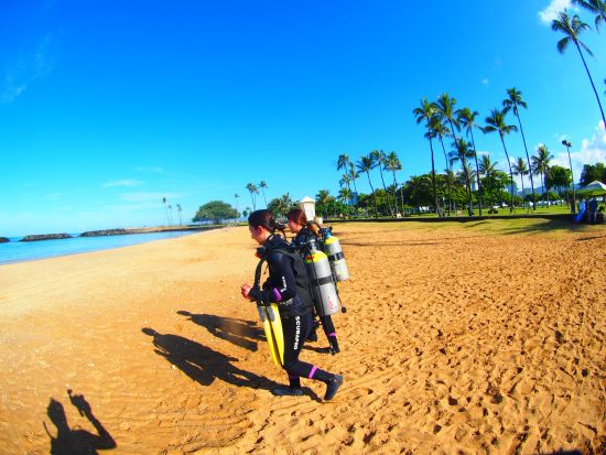 体験ダイビング  アラモアナビーチ 海の生き物を守るビーチクリーンアップ体験プランあり＜ビーチ／1ダイブ＞by アロハナダイバーズ