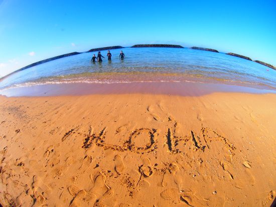 体験ダイビング  アラモアナビーチ 海の生き物を守るビーチクリーンアップ体験プランあり＜ビーチ／1ダイブ＞by アロハナダイバーズ