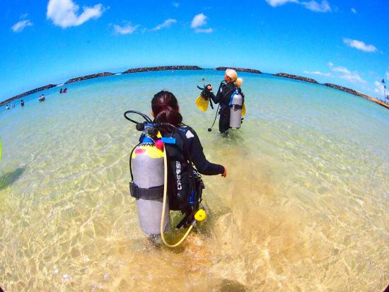 体験ダイビング  アラモアナビーチ 海の生き物を守るビーチクリーンアップ体験プランあり＜ビーチ／1ダイブ＞by アロハナダイバーズ