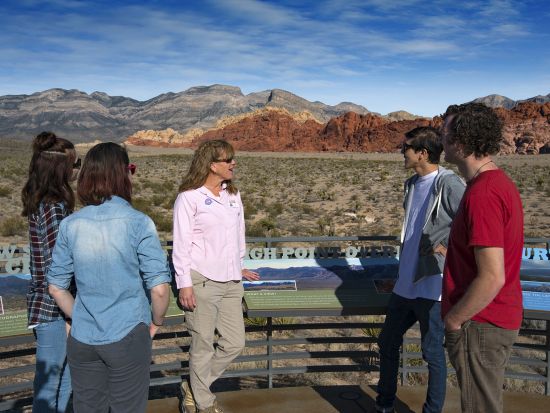 レッドロックキャニオン 半日観光ツアー ＜英語ドライバーガイド＞