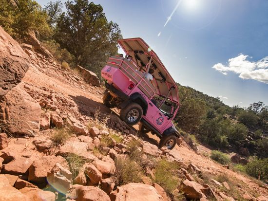 ピンクジープで行く　セドナ古代遺跡観光ツアー ＜英語ガイド＞