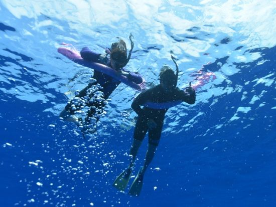 プライベートチャーター　ケアラケクア湾シュノーケリング+イルカウォッチングツアー！GoProレンタルあり＜午前／日本語ガイド＞