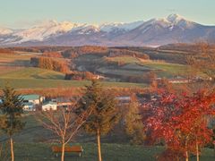 pixta_68217730_M