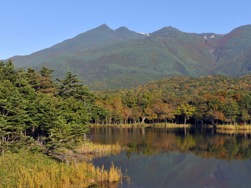 世界遺産 知床五湖ガイドツアー 北海道の観光 遊び 体験 レジャー専門予約サイト Veltra ベルトラ