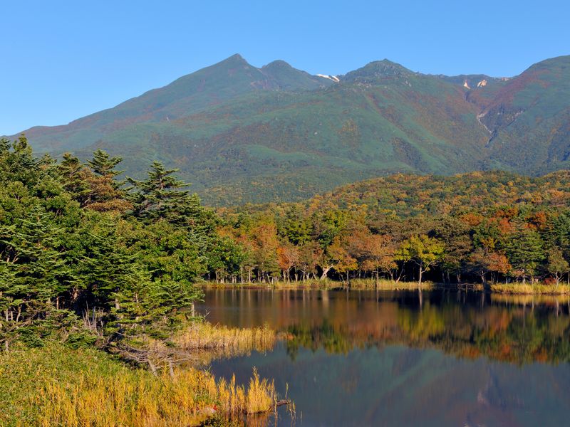 世界遺産 知床五湖ガイドツアー 北海道の観光 遊び 体験 レジャー専門予約サイト Veltra ベルトラ 世界遺産 知床五湖ガイドツアー 北海道の観光 遊び 体験 レジャー専門予約サイト Veltra ベルトラ