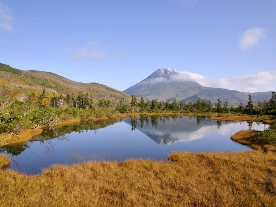 知床 羅臼湖を目指すトレッキングツアー　知床半島最大サイズの羅臼湖へ！湿生植物＆高山植物を鑑賞＜7～10月／斜里町＞by知床ネイチャーオフィス