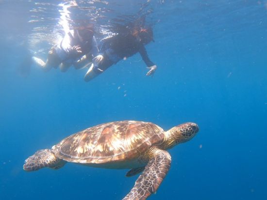 石垣島青の洞窟シュノーケリング　1時間の短時間コース or カヤックやSUPセットのロングコースから選択！石垣島出身ガイドがご案内＜市街地ホテル送迎可／石垣島＞