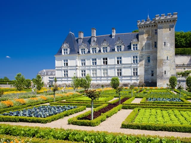海外規格■ フランス ロワール ヴィランドリー城 庭園 3★額縁付 A3 ノビ 自然、風景