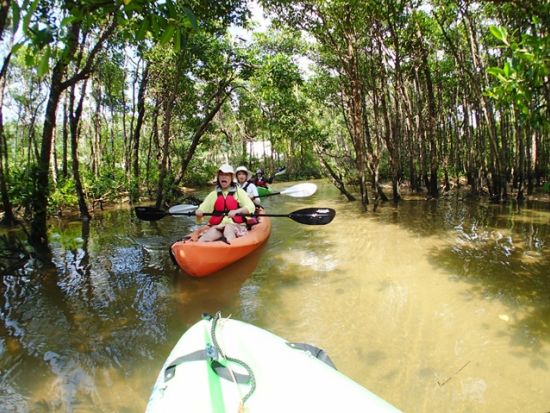 億首川マングローブカヤックツアー　1歳からOK！完全貸切で、マングローブの林を満喫＜金武町＞by 沖縄ネイチャーコーディネート・アンダゴ