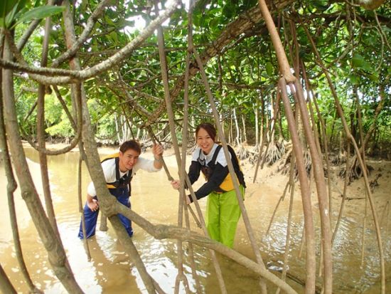 億首川マングローブカヤックツアー　1歳からOK！完全貸切で、マングローブの林を満喫＜金武町＞by 沖縄ネイチャーコーディネート・アンダゴ
