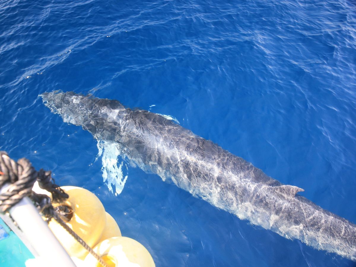 20210827062005_1871099412_1561