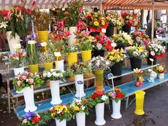 pixta_2657643_M_Saleya