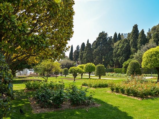 pixta_50637047_M_Cimiez