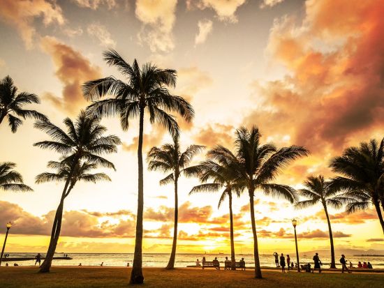 レンタカー予約サービス　オープンカー　店舗（空港）by アラモレンタカー