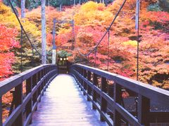img_hashi1