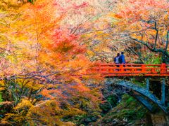 pixta_36917794_XL