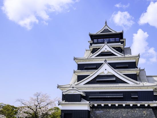 湯布院発／熊本市内着貸切観光タクシー　九重夢大吊橋＋阿蘇神社＋水前寺公園＋熊本城　人気スポットを効率よくご案内＜7～8時間／最大9名乗車可＞by トラベルネット