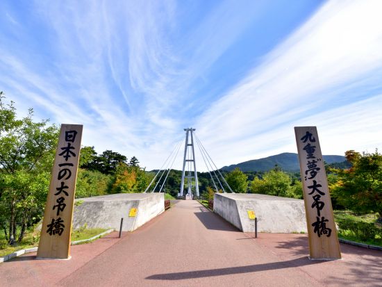 別府市内発着貸切観光タクシー　九重夢大吊橋＋阿蘇神社＋水前寺公園＋熊本城 熊本県内の見どころ凝縮コース！＜7～8時間／最大9名乗車可＞byトラベルネット