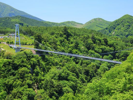 別府市内発／熊本市内着貸切観光タクシー　九重夢大吊橋＋阿蘇神社＋水前寺公園＋熊本城　大分と熊本の名所を満喫 ＜7～8時間／最大9名乗車可＞by トラベルネット