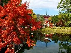 KK 大覚寺
