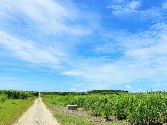 波照間島レンタサイクル　石垣島からの往復フェリーチケット付き 日本最南端の有人島を自由に滞在♪＜石垣島発＞