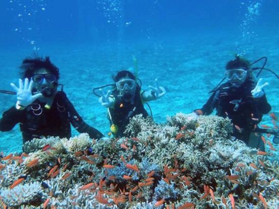 体験ダイビングツアー　バラス島や鳩間島でサンゴや魚、運が良ければウミガメに出会う！＜ボート／1～2ダイブ／西部地区無料送迎／西表島＞