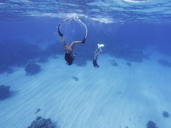 シュノーケリングツアー　バラス島や鳩間島でサンゴや魚、運が良ければウミガメに出会う！＜半日または1日／西部地区無料送迎／西表島＞