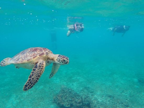 シュノーケル　１３