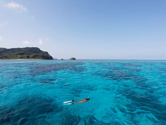 シュノーケル　１