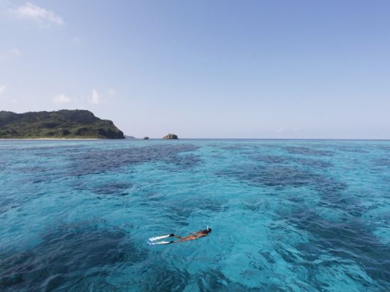 シュノーケリングツアー　バラス島や鳩間島でサンゴや魚、運が良ければウミガメに出会う！＜半日または1日／西部地区無料送迎／西表島＞