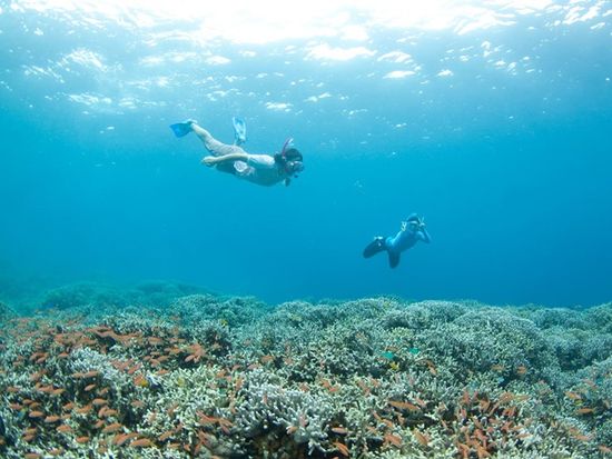 シュノーケル　５