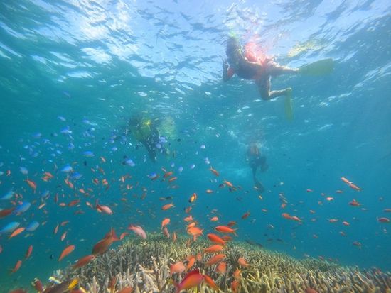 シュノーケル　６