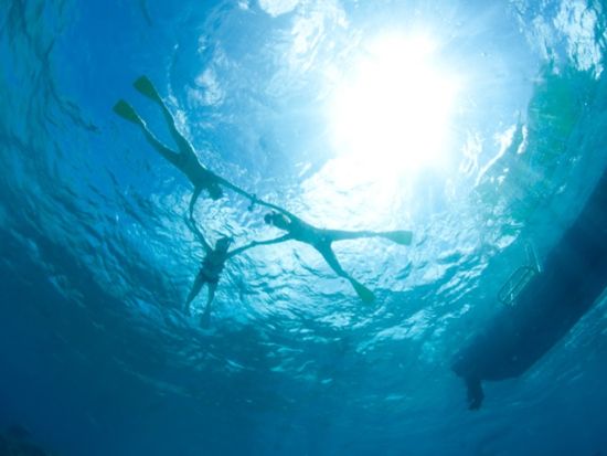 シュノーケリングツアー　バラス島や鳩間島でサンゴや魚、運が良ければウミガメに出会う！＜半日または1日／西部地区無料送迎／西表島＞