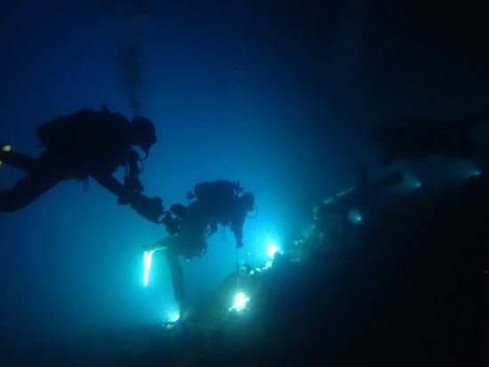 ナイトファンダイビングツアー　バラス島や鳩間島で夜行性の生物を探そう！＜ボート／1～2ダイブ／西部地区無料送迎／西表島＞