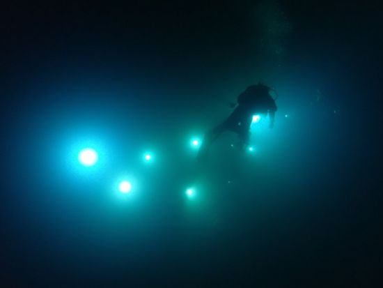 ナイトファンダイビングツアー　バラス島や鳩間島で夜行性の生物を探そう！＜ボート／1～2ダイブ／西部地区無料送迎／西表島＞