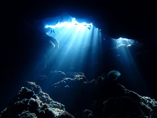 ファンダイビング　１４