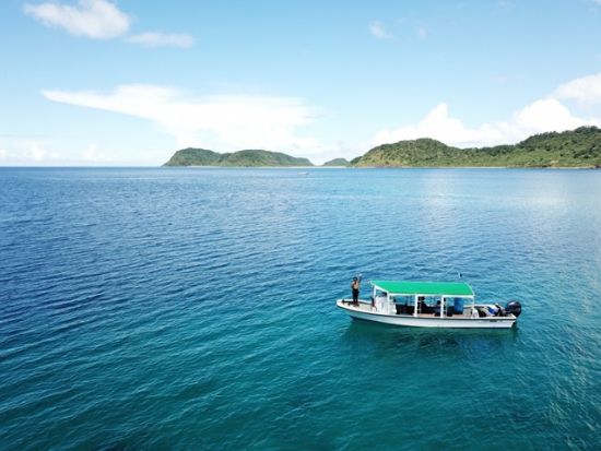 ファンダイビングツアー　生命力あふれるサンゴの大群生や西表の地形を楽しもう＜ボート／2～3ダイブ／1日／西部地区無料送迎／西表島＞