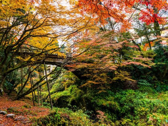貸切観光タクシー  鶴仙渓＋鶴ヶ滝 加賀・山中温泉近郊の名勝ツアー 4～11月は鶴仙渓川床がオープン＜3時間or4時間／選べる車種／加賀温泉郷発着＞