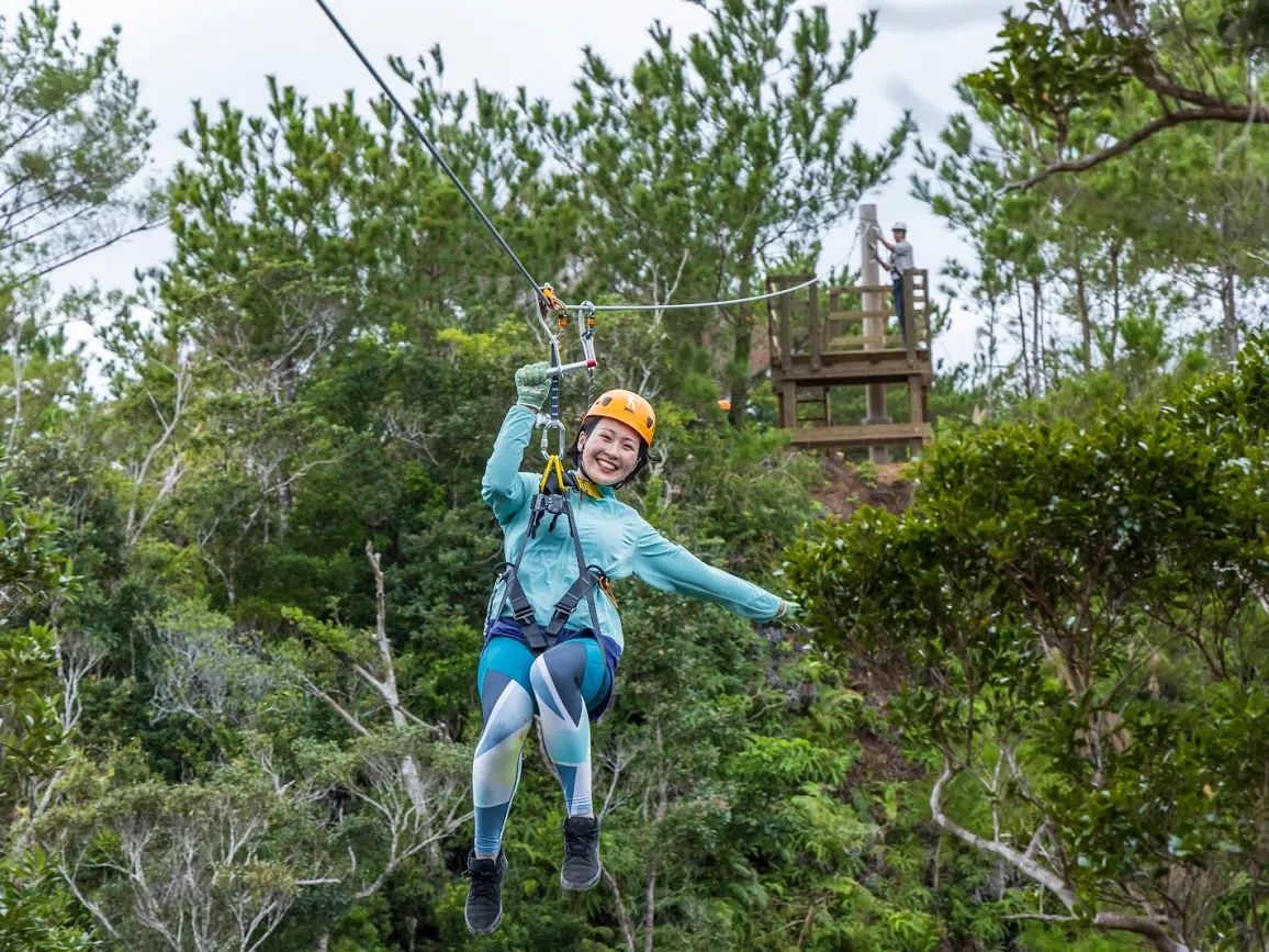 ジップライン | 沖縄本島 旅行の観光・オプショナルツアー予約 VELTRA