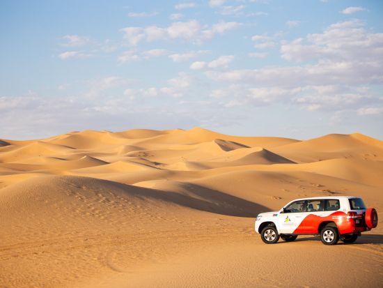 【混載】決定版！デザートサファリ　動物保護区砂丘ドライブ＋ディナー＋ショー＜午後発／往復送迎付／専用デラックスキャンプ／BBQディナー付／飲み放題／ドバイ発＞