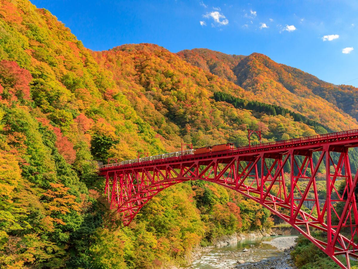 確認用☆宇奈月温泉↔︎大阪☆立山↔︎大阪　行き先プレート 20210909024706_1178663100_1531